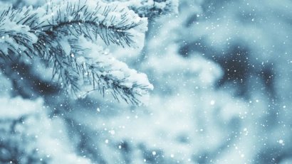 <b>小雪丨天地清寒待初雪，愿温暖与君常伴左右</b>